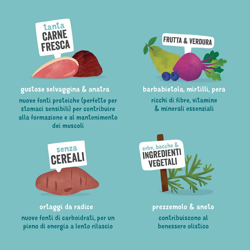 Immagine prodotto 2