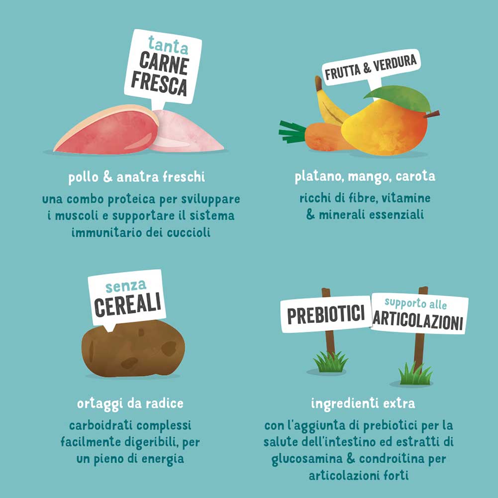 Immagine prodotto 6