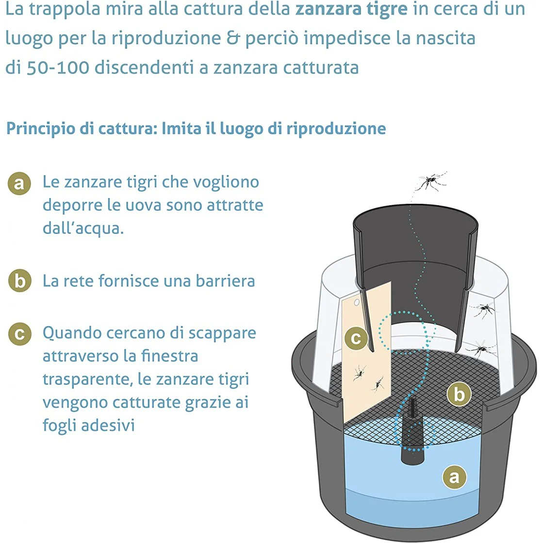 Immagine prodotto 4