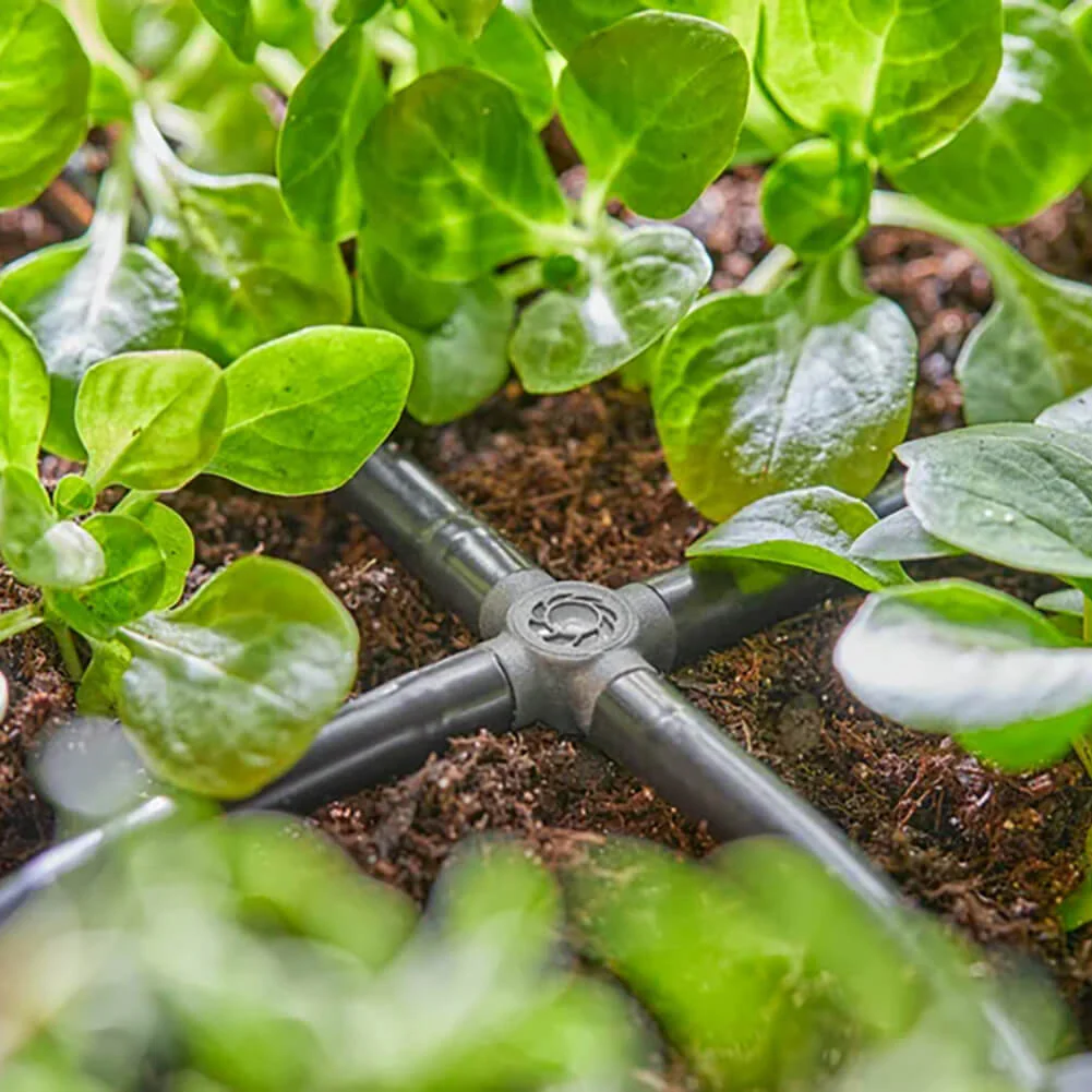Immagine prodotto 6